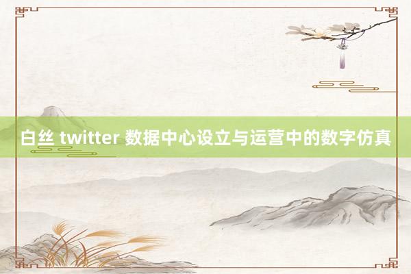 白丝 twitter 数据中心设立与运营中的数字仿真