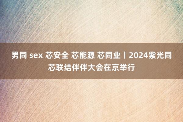 男同 sex 芯安全 芯能源 芯同业丨2024紫光同芯联结伴伴大会在京举行