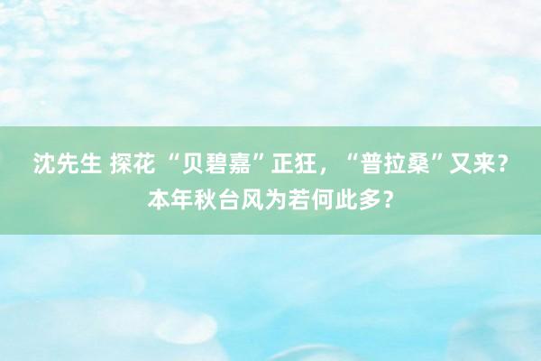 沈先生 探花 “贝碧嘉”正狂，“普拉桑”又来？本年秋台风为若何此多？