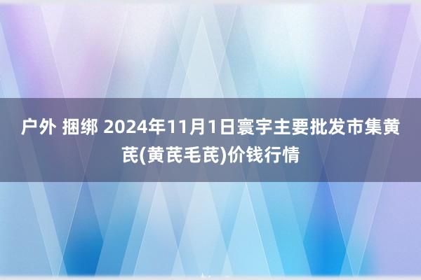 户外 捆绑 2024年11月1日寰宇主要批发市集黄芪(黄芪毛芪)价钱行情