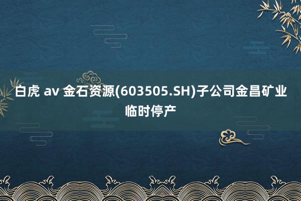 白虎 av 金石资源(603505.SH)子公司金昌矿业临时停产