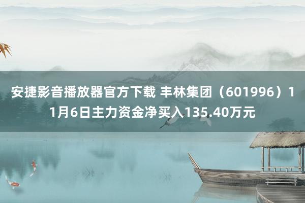 安捷影音播放器官方下载 丰林集团（601996）11月6日主力资金净买入135.40万元