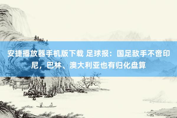 安捷播放器手机版下载 足球报：国足敌手不啻印尼，巴林、澳大利亚也有归化盘算