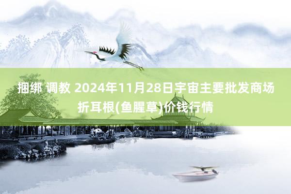 捆绑 调教 2024年11月28日宇宙主要批发商场折耳根(鱼腥草)价钱行情