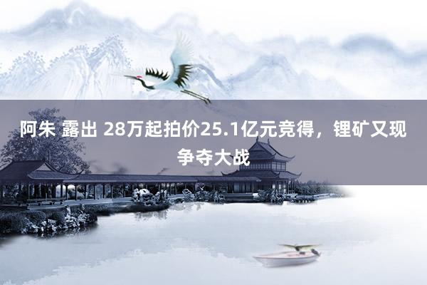 阿朱 露出 28万起拍价25.1亿元竞得，锂矿又现争夺大战