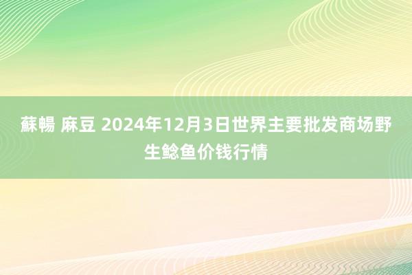 蘇暢 麻豆 2024年12月3日世界主要批发商场野生鲶鱼价钱行情