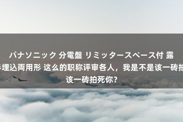 パナソニック 分電盤 リミッタースペース付 露出・半埋込両用形 这么的职称评审各人，我是不是该一砖拍死你？