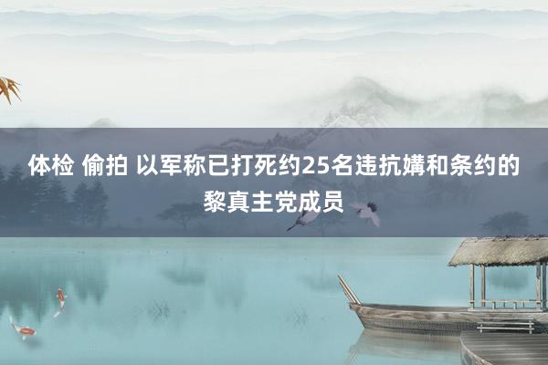 体检 偷拍 以军称已打死约25名违抗媾和条约的黎真主党成员