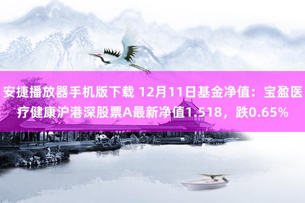 安捷播放器手机版下载 12月11日基金净值：宝盈医疗健康沪港深股票A最新净值1.518，跌0.65%