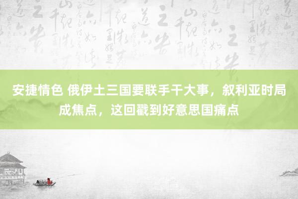 安捷情色 俄伊土三国要联手干大事，叙利亚时局成焦点，这回戳到好意思国痛点