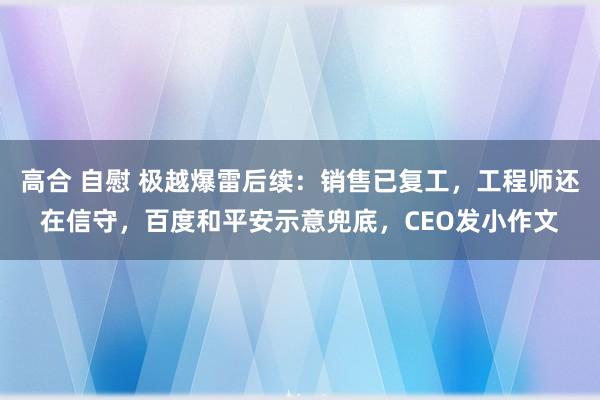 高合 自慰 极越爆雷后续：销售已复工，工程师还在信守，百度和平安示意兜底，CEO发小作文