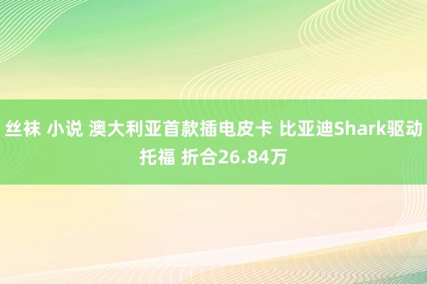 丝袜 小说 澳大利亚首款插电皮卡 比亚迪Shark驱动托福 折合26.84万