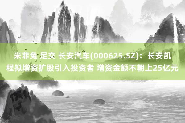 米菲兔 足交 长安汽车(000625.SZ)：长安凯程拟增资扩股引入投资者 增资金额不朝上25亿元