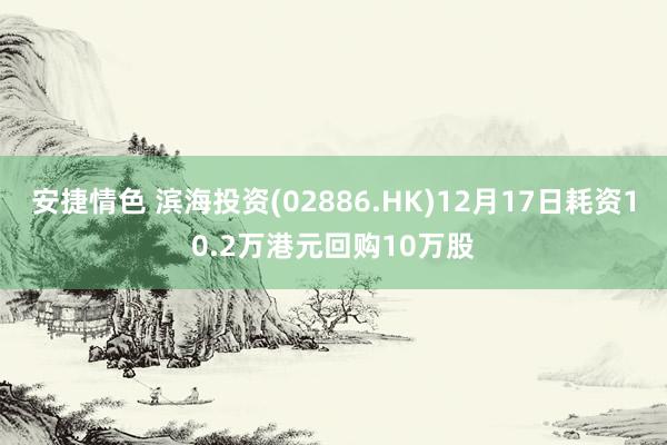 安捷情色 滨海投资(02886.HK)12月17日耗资10.2万港元回购10万股