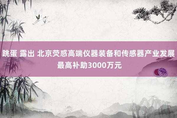 跳蛋 露出 北京荧惑高端仪器装备和传感器产业发展 最高补助3000万元