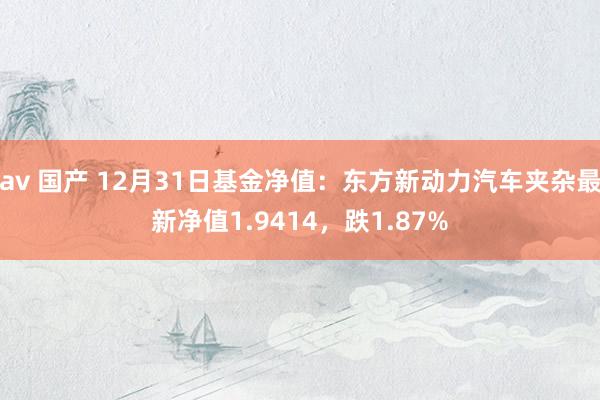 av 国产 12月31日基金净值：东方新动力汽车夹杂最新净值1.9414，跌1.87%