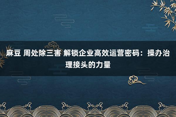 麻豆 周处除三害 解锁企业高效运营密码：操办治理接头的力量