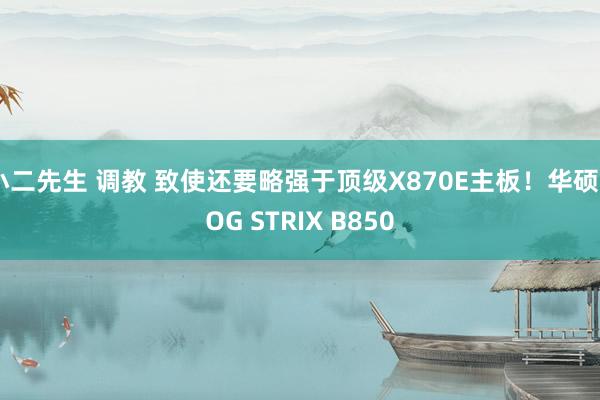 小二先生 调教 致使还要略强于顶级X870E主板！华硕ROG STRIX B850