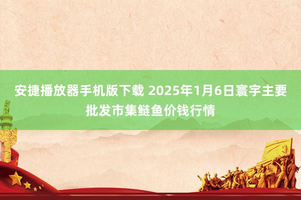 安捷播放器手机版下载 2025年1月6日寰宇主要批发市集鲢鱼价钱行情