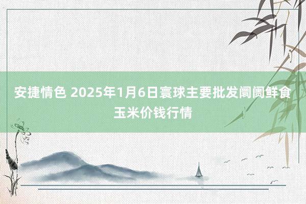 安捷情色 2025年1月6日寰球主要批发阛阓鲜食玉米价钱行情