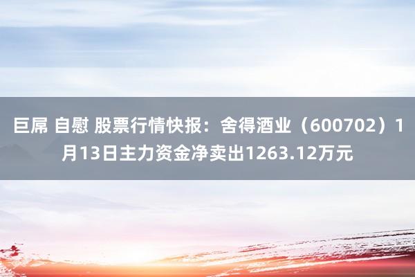 巨屌 自慰 股票行情快报：舍得酒业（600702）1月13日主力资金净卖出1263.12万元