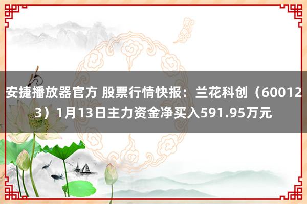 安捷播放器官方 股票行情快报：兰花科创（600123）1月13日主力资金净买入591.95万元