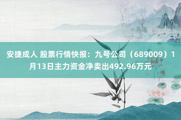 安捷成人 股票行情快报：九号公司（689009）1月13日主力资金净卖出492.96万元