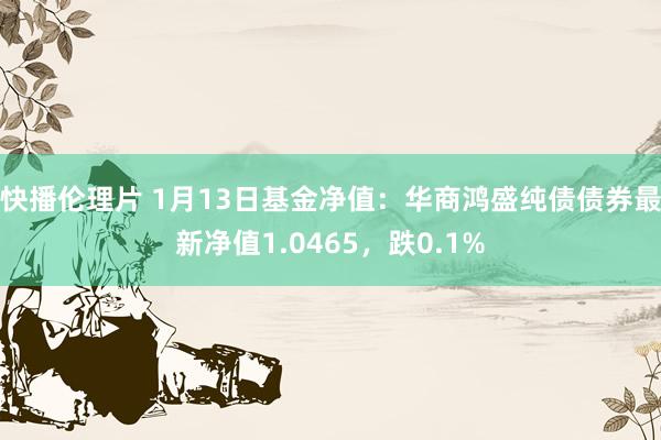 快播伦理片 1月13日基金净值：华商鸿盛纯债债券最新净值1.0465，跌0.1%