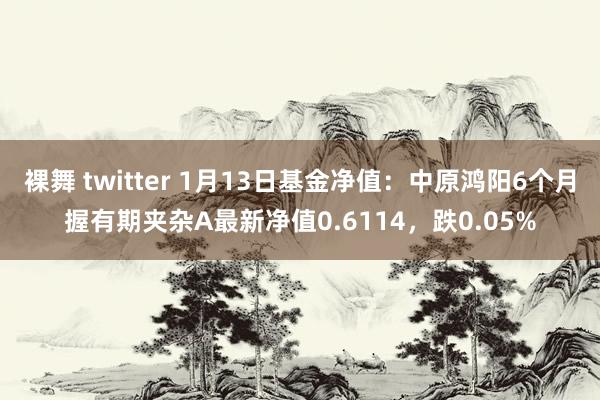 裸舞 twitter 1月13日基金净值：中原鸿阳6个月握有期夹杂A最新净值0.6114，跌0.05%