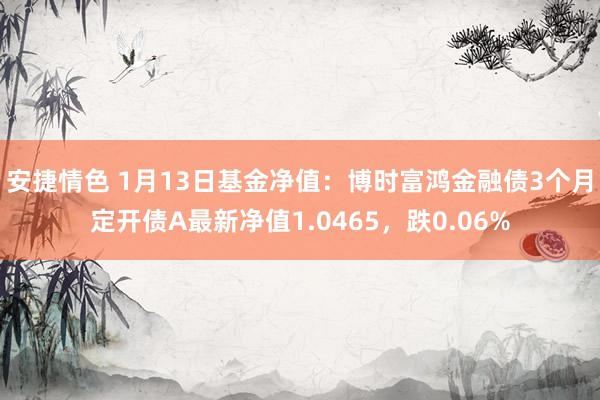 安捷情色 1月13日基金净值：博时富鸿金融债3个月定开债A最新净值1.0465，跌0.06%