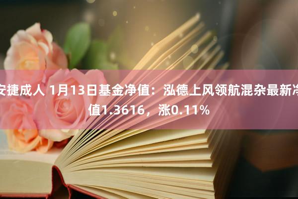 安捷成人 1月13日基金净值：泓德上风领航混杂最新净值1.3616，涨0.11%