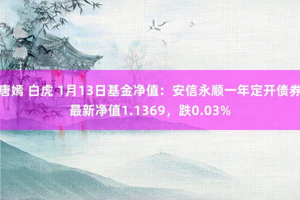 唐嫣 白虎 1月13日基金净值：安信永顺一年定开债券最新净值1.1369，跌0.03%