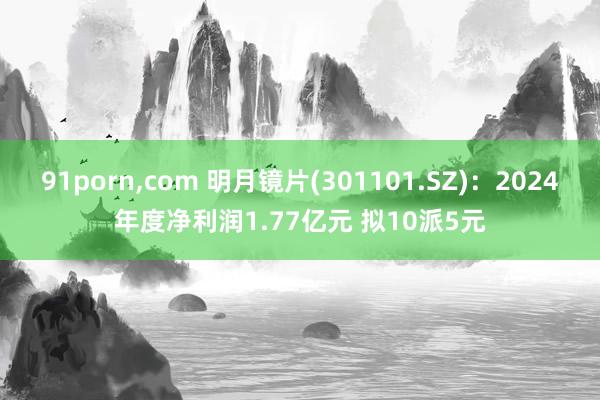 91porn，com 明月镜片(301101.SZ)：2024年度净利润1.77亿元 拟10派5元